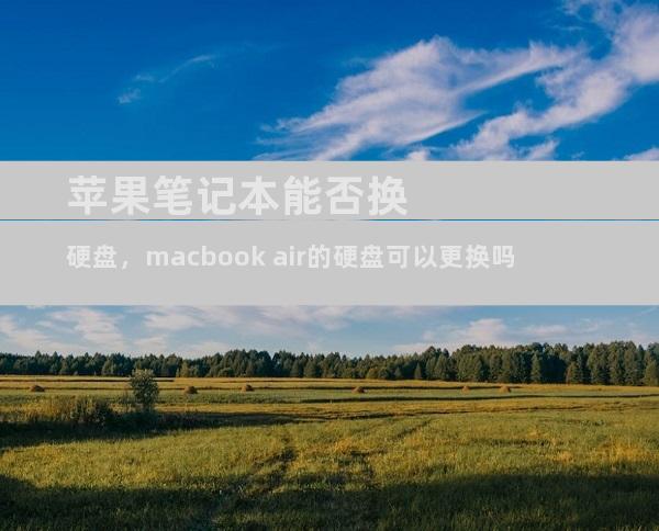 苹果笔记本能否换硬盘，macbook air的硬盘可以更换吗